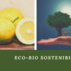Eco-bio sostenibilità e legame al territorio