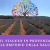 il viaggio in provenza