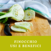 Finocchio usi e benefici