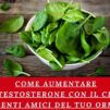 Come Aumentare il Testosterone con il Cibo: Alimenti Amici del Tuo Ormone