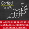 Come Abbassare il Cortisolo e Aumentare il Testosterone: Strategie Efficaci