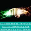 Come Aumentare il Testosterone: Guida Completa per Ritrovare la Tua Energia